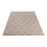 Moderní kusový koberec Elsher, Beige - 120x180cm ELTAP