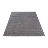 Moderní kusový koberec Elsher, Grey - 120x180cm ELTAP
