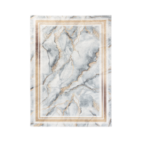 Moderní kusový koberec Squitta, Grey/Gold - 160x220cm