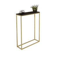 Konzolový stolek LUCAS - Zlatá / Černá - 60x80x20cm ADRK